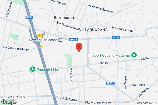 Tacchini, Sergio
