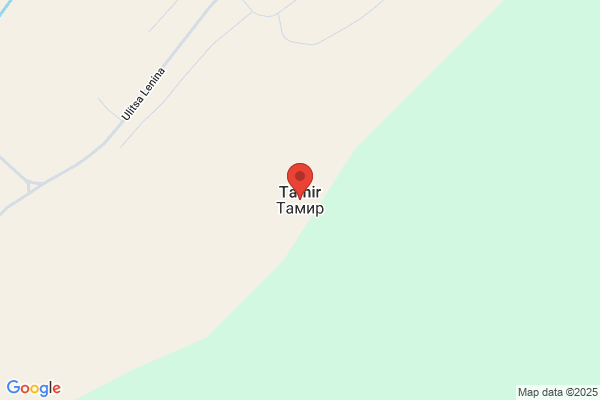 Tamir