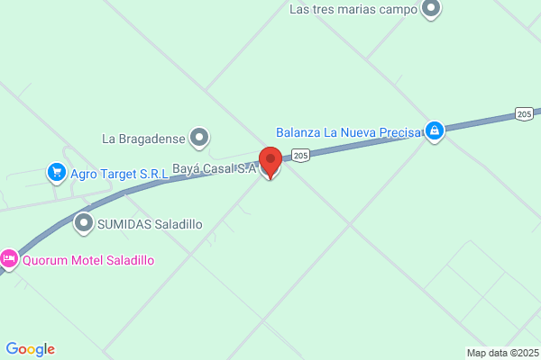 Baya Casal, Enrique M.