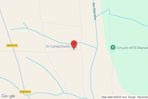 El Campichuelo S.A