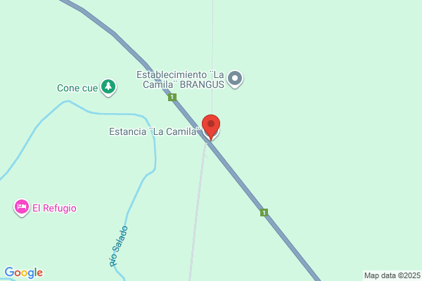 Estancia La Camila Srl