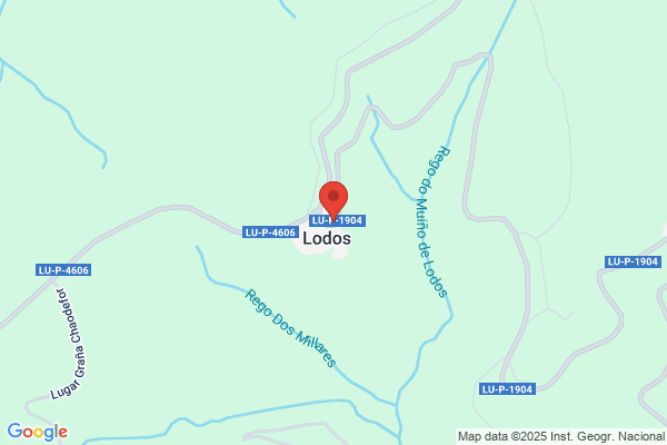 Lodos Transportes De Caudales S.R.L.
