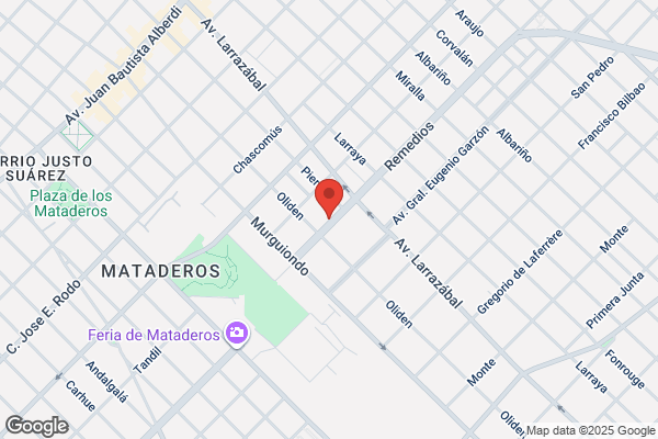 Hijos De Pedro Vicentini S.A.