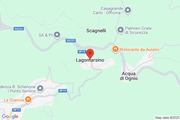 Lagomarsino