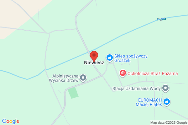 J. Niez, Enrique