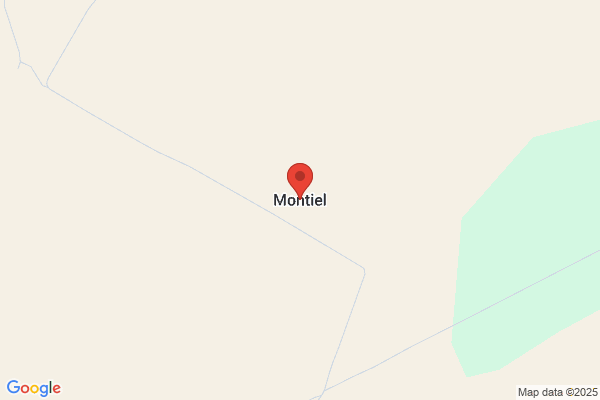 Montiel S.R.L.