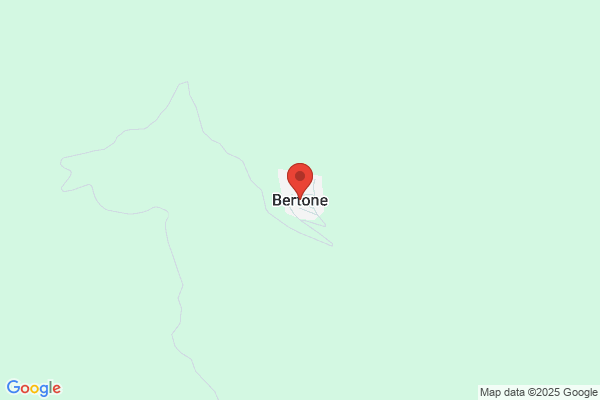 Bertone, Carlos