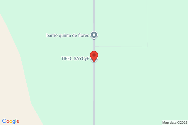 Tifec Saic