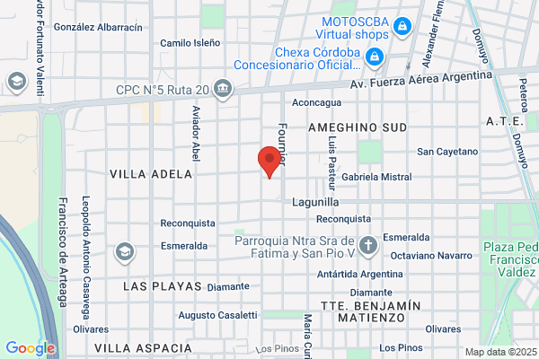 Fornasari Carlos Y Otros