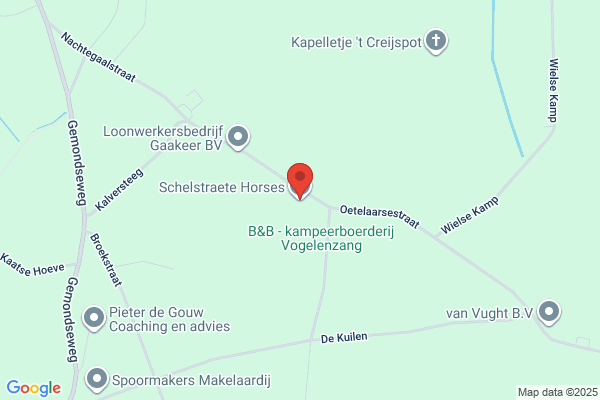 Schelstraete, Alberto