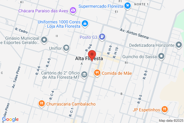 ALTA FLORESTA S.A.