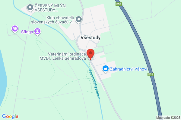 Sedisvet