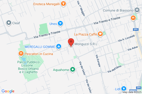 Monguzzi, Lidia