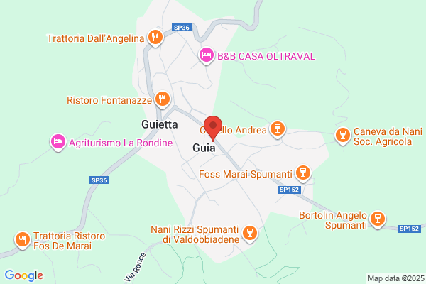 Guizzo