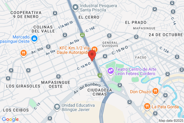 Comercio Austral