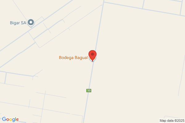 Bagual S.A.