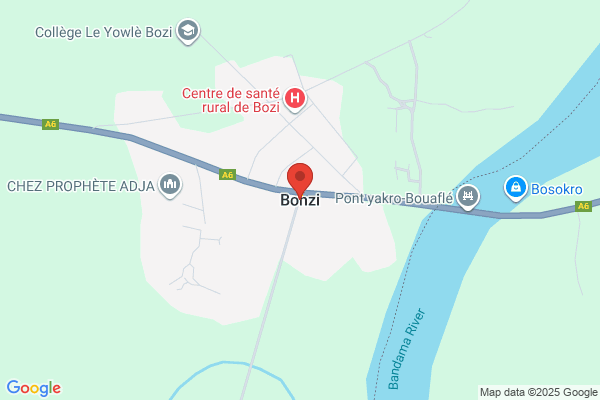 Bonzi