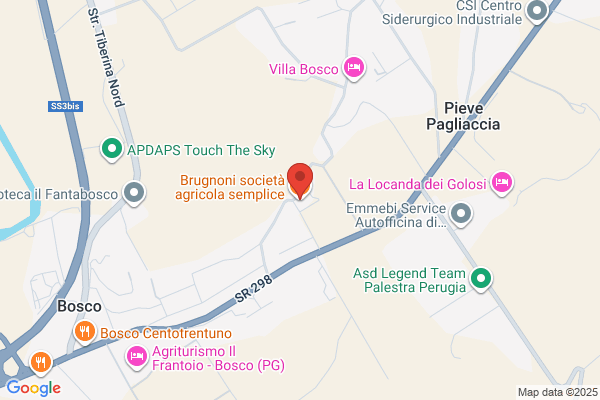 Brugnoni, Alberto