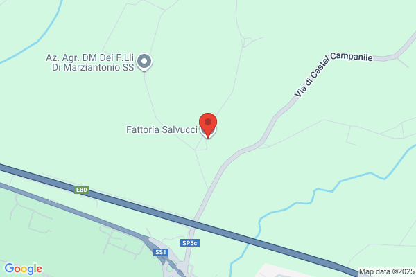 Salvucci, Antonio
