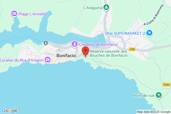 Bonifacio - Manzur