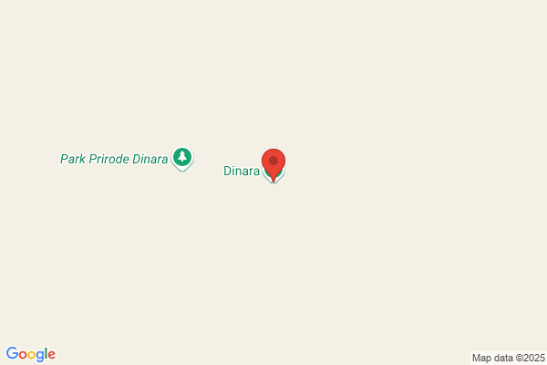 Dinar S.A.