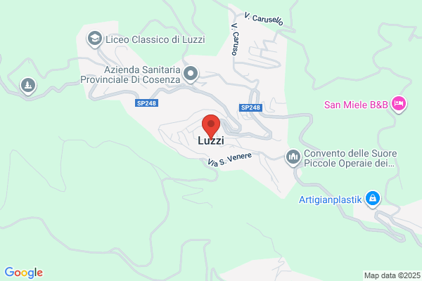 Luis N Luzzi S A