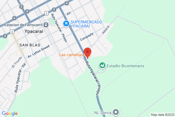 Las Camelias