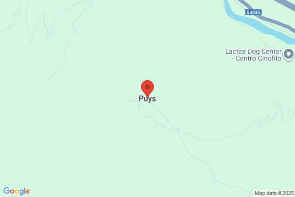 Puyi's