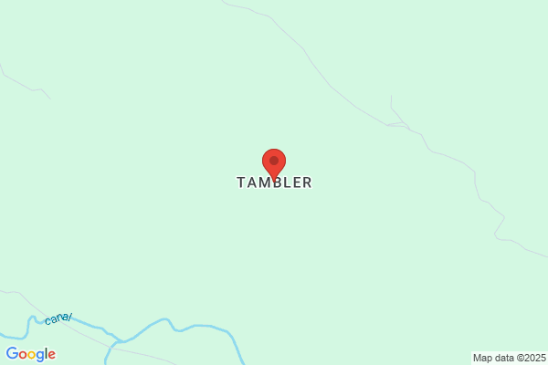 Tambler