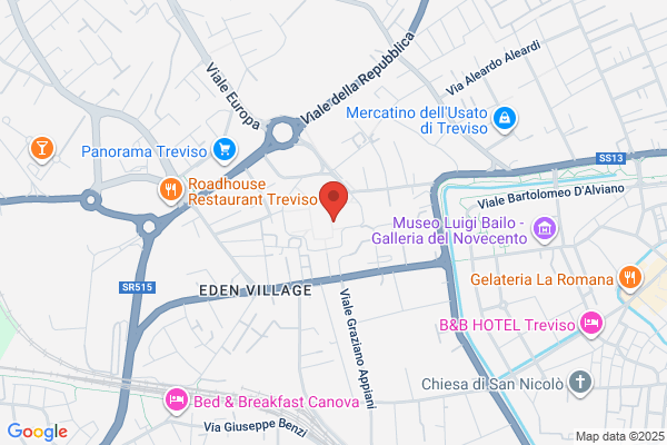 Estudio Trevi S.R.L.