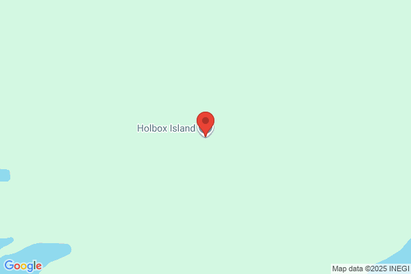 Holmox S.R.L.
