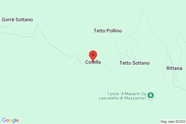 Establecimeintos Cotella S A